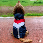 Captain America Raincoat For Dogs