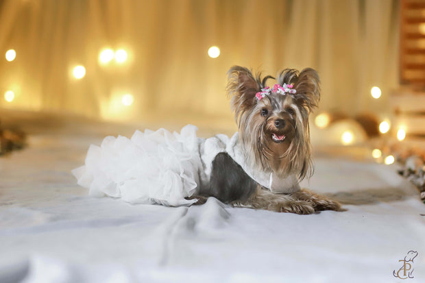 Cross Back White Tulle Ruffled Gown For Dogs