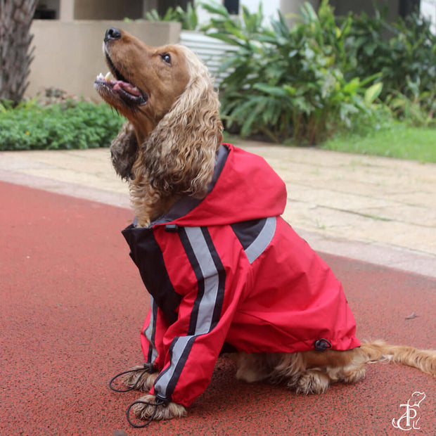 Deadpool Raincoat For Dogs
