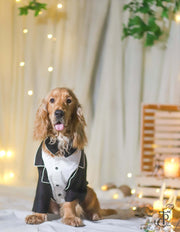 Dapper Styled Buttton Down Tuxedo For Dogs