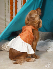 Halter Neck Fish Cut Emroidered Dress For Dogs