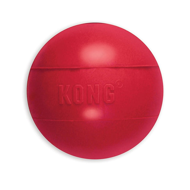 Kong Bounce Ball Toy For Dogs