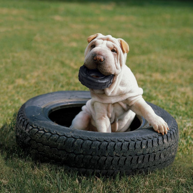 Kong Tire Chew Toy For Dogs