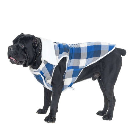 Extra Warm Chequed Blue & White Winter Jacket For Dogs