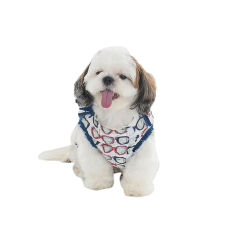 White Designer T-Shirt With Motifs For Dogs