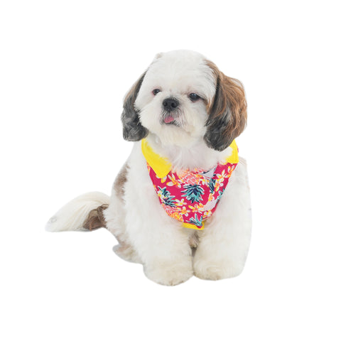 Yellow Floral Printed Embellished T-shirts For Dogs & Cats