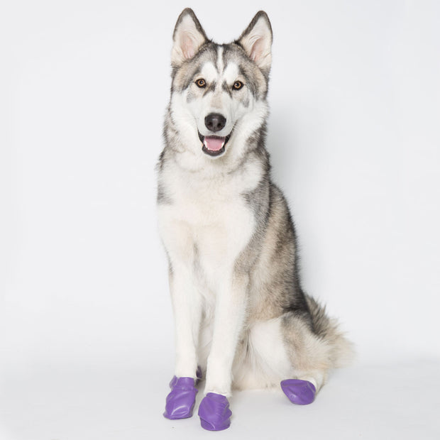 Protex Pawz Rubber Dog Boots