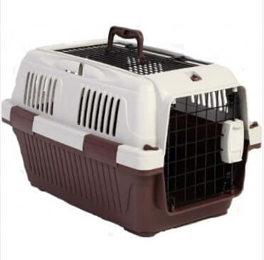 Nutra Pet Dog & Cat Carrier Box Open Top- MAROON