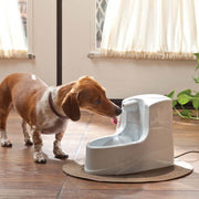 Pet Safe Drinkwell® Mini Fountain For Dogs & cats
