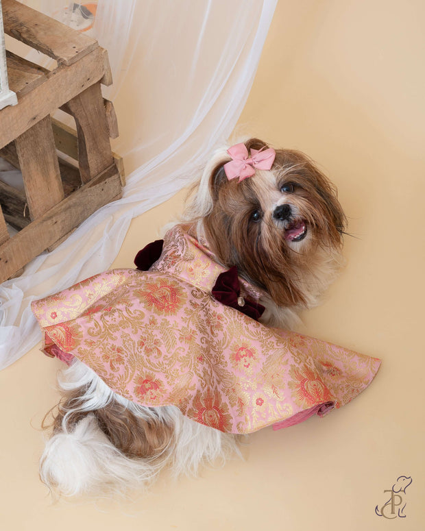 Pink & Golden Brocade Frock With A Bow For Dogs