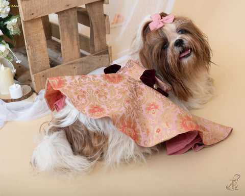 Pink & Golden Brocade Frock With A Bow For Dogs