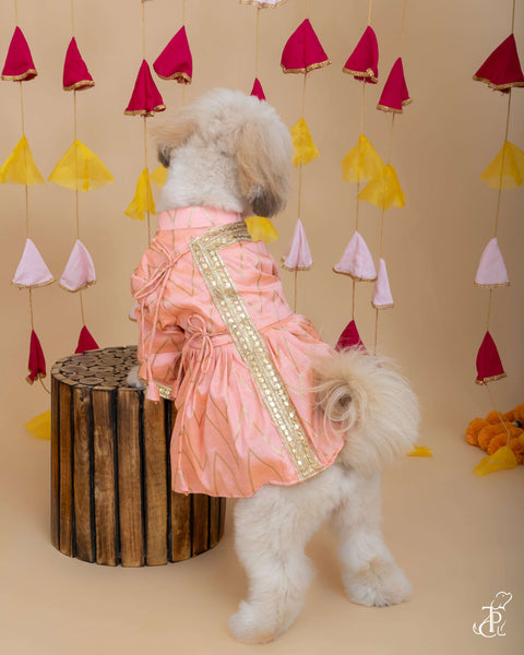 Pink & Gold Angarkha Dress For Dogs