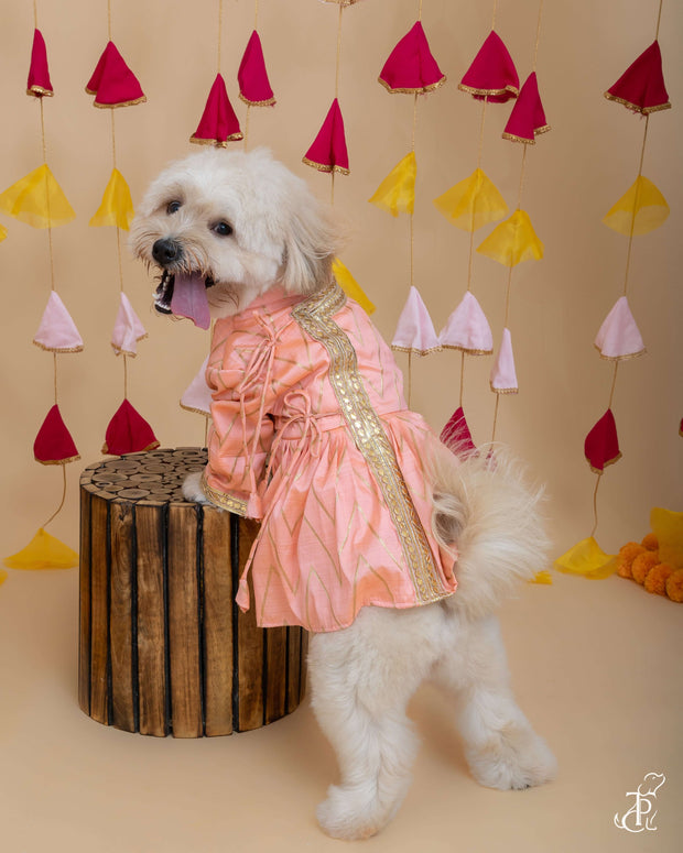 Pink & Gold Angarkha Dress For Dogs