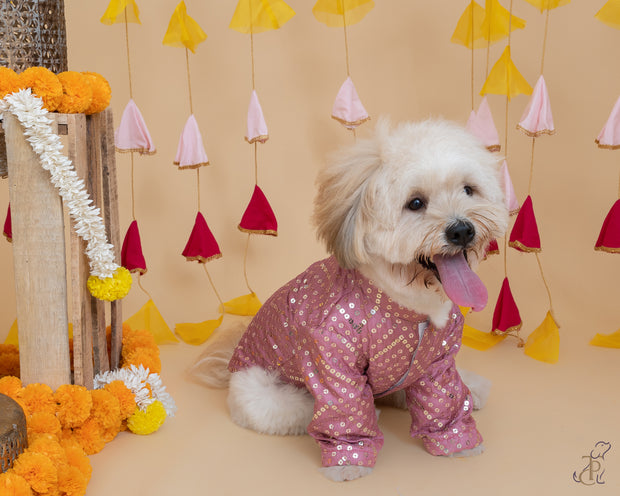 Sparkle In Pink Sequin Sherwani For Dogs