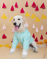 Mint Green Koti With Mirror Button & Kurta For Dogs