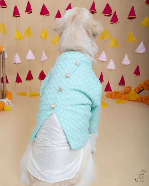 Mint Green Koti With Mirror Button & Kurta For Dogs