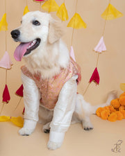 Pink & Golden Brocade Koti Kurta For Dogs