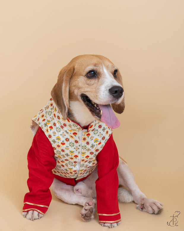Printed White Ethnic Koti With Contrast Red Kurta For Dogs