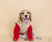 Printed White Ethnic Koti With Contrast Red Kurta For Dogs