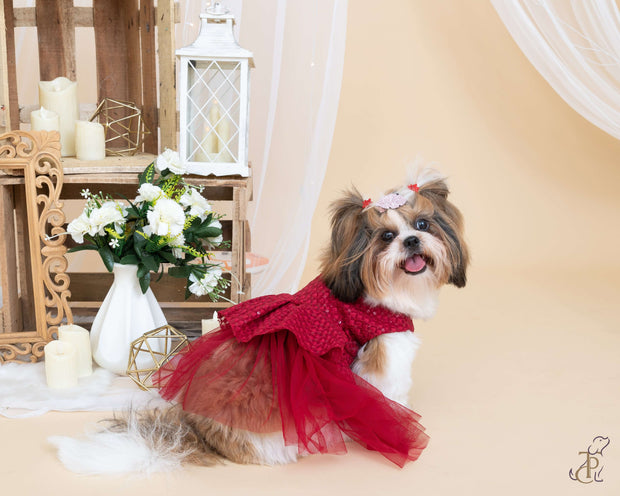 Date The Ramp Embellished Red Dress For Dogs