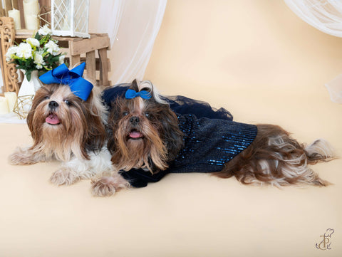Blue Shawl Collar Sequin Tuxedo With A Bow For Dogs
