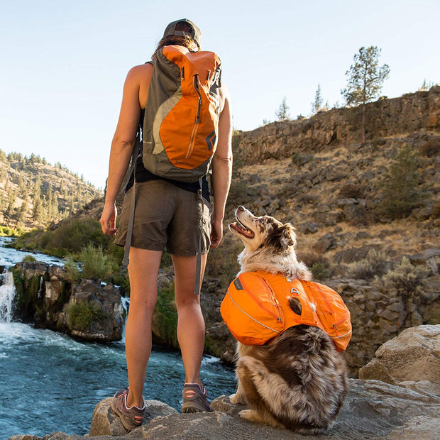 Ruffwear Approach Full-Day Hiking Pack For Dogs