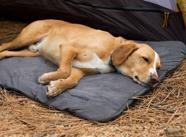 Ruffwear Mt. Bachelor Pad – Bed For Dogs