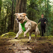 Ruffwear Front Range All-Day Adventure Harness For Dogs – Meadow Green