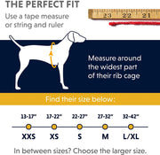 Ruffwear Front Range All-Day Adventure Harness For Dogs – Blue Dusk