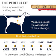 Ruffwear Hi & Light Lightweight, Low-Profile Harness For Dogs – Sockeye Red