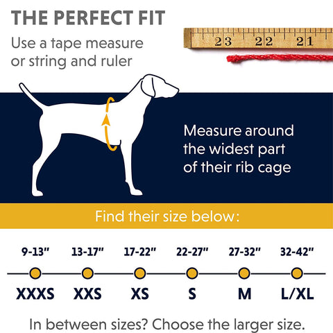 Ruffwear Hi & Light Lightweight, Low-Profile Harness For Dogs – Blue Atoll