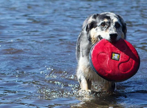 Ruffwear Hover Craft Flying Disc For Dogs