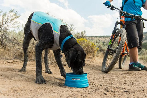 Ruffwear Jet Stream Cooling Vest For Dogs – Blue Lagoon