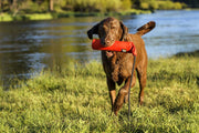 Ruffwear Lunker Rubber Throw Toy For Dogs