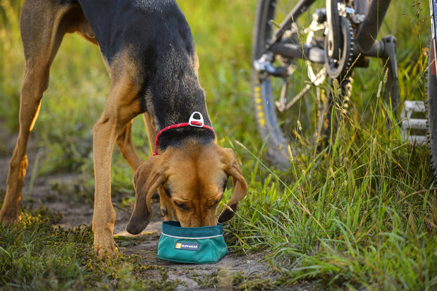 Ruffwear Quencher Packable Food And Water Bowl