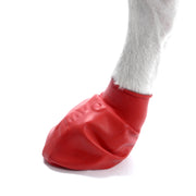 Protex Pawz Rubber Dog Boots