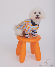 Stirpe T-shirt For Dogs