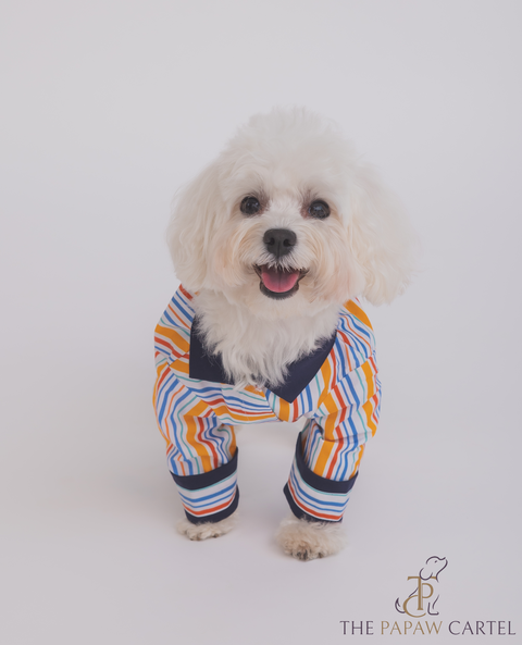 Stirpe T-shirt For Dogs