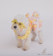Floral Dress With Laces For Dogs