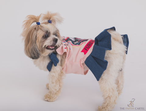 Furever Young Denim Tie Up T-shirt For Dogs