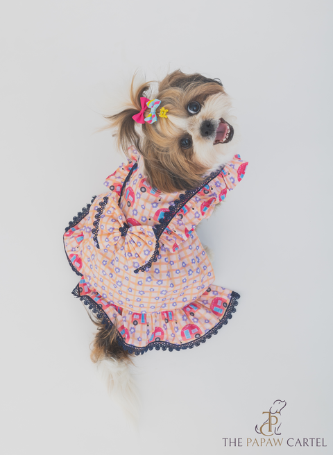 Caravan Plaid Frilled Dress With A Bow For Dogs