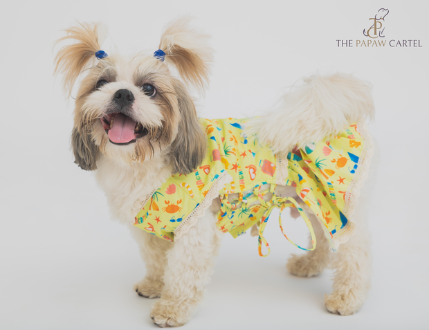 Vacation dress for dogs