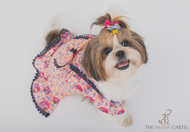 Caravan Plaid Frilled Dress With A Bow For Dogs