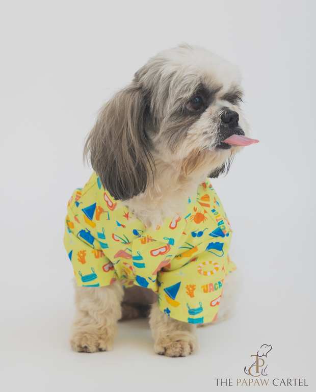 Vacation T-shirt For Dogs