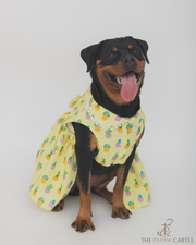 Happy Cactus Dress For Dogs