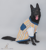 Multi Color Stripe With Denim Collar T-shirt For Dogs