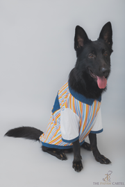 Multi Color Stripe With Denim Collar T-shirt For Dogs