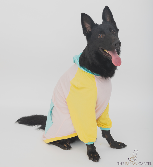 Candy Floss Color Blocking Hoodie T-shirt For Dogs