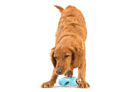 West Paw Qwizl With Zogoflex Dog Treat Toy