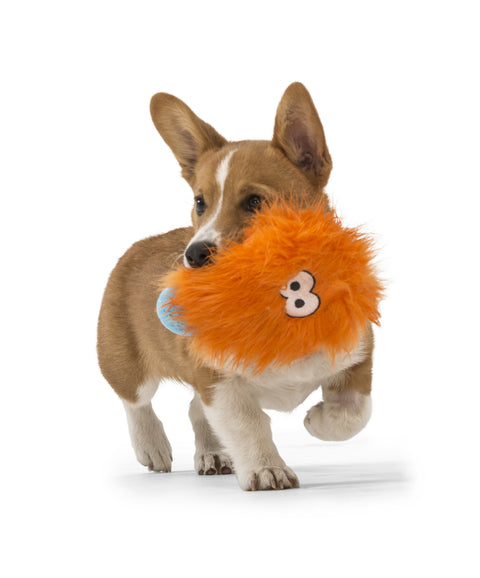 West Paw Rosebud- Soft Toy For Dogs